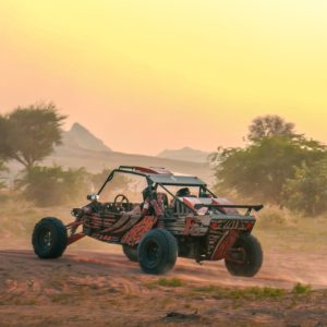 Dune Buggy Experience with Private Dinner Desert safaris