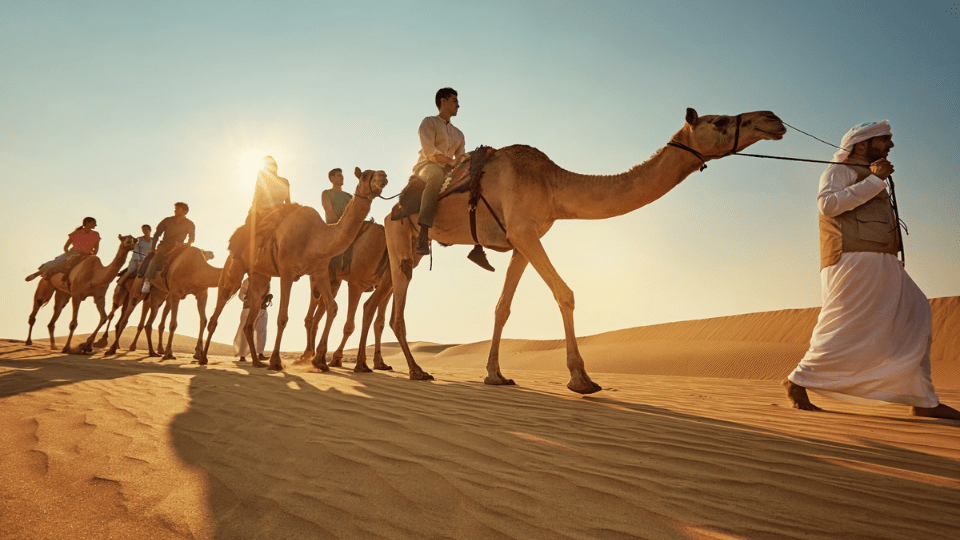 Camel Trekking Experience In Abu Dhabi With Transfers In Land Cruiser - Top-Rated Attractions