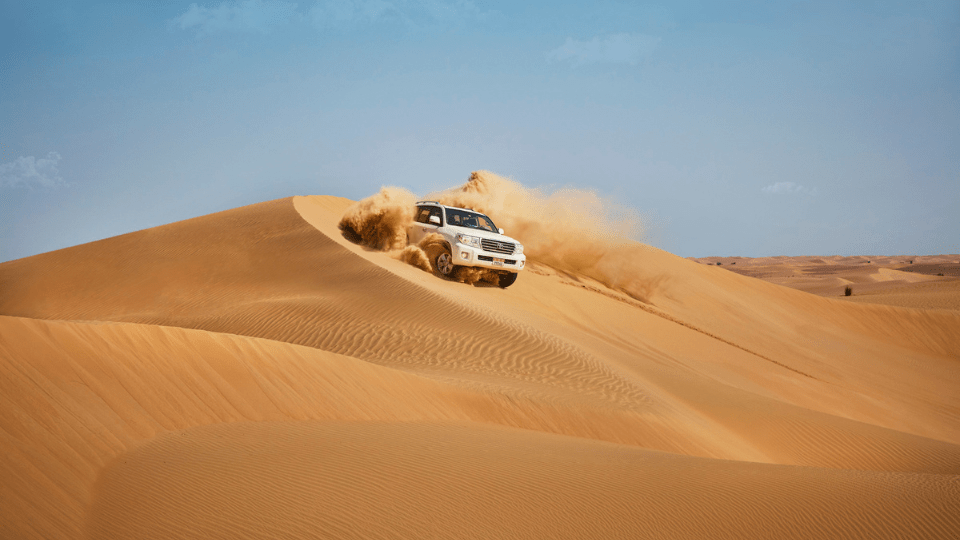 Liwa Adventure: A Desert Safari Delight with Authentic Local Lunch - Desert safaris